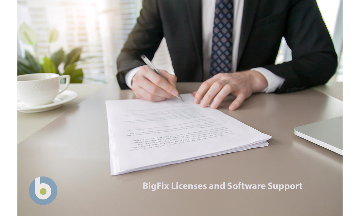 BigFix Licenses and Software Support