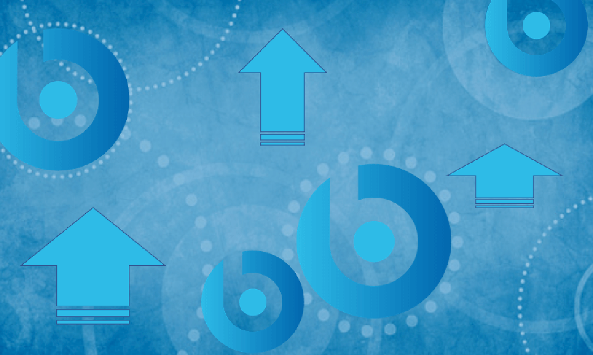 upgrading-your-bigfig